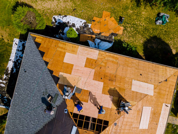 Best Storm Damage Roof Repair  in Ranchester, WY
