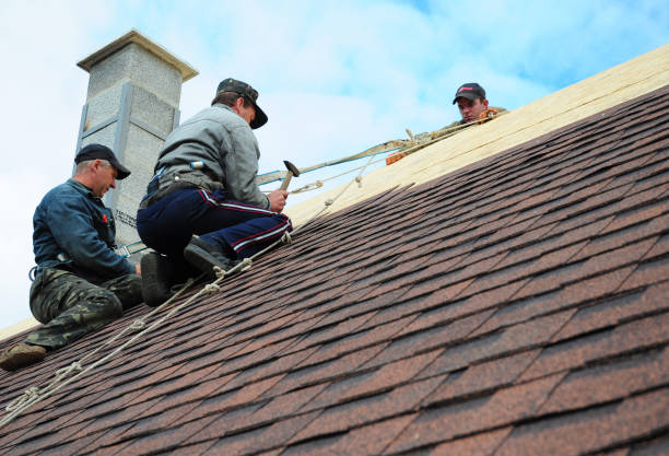 Best New Roof Installation  in Ranchester, WY